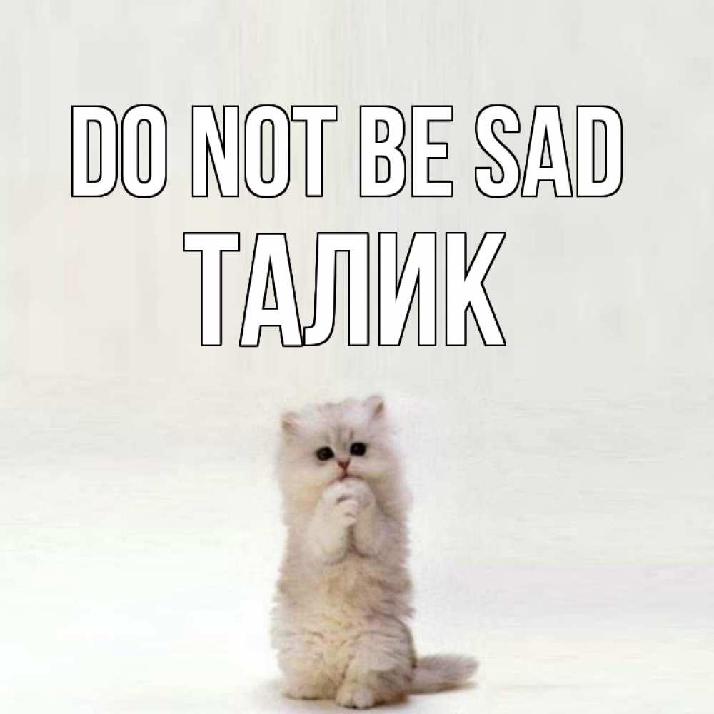Greetings card с именем, Талик Do not be sad грустный кот Greetings with text for free download 