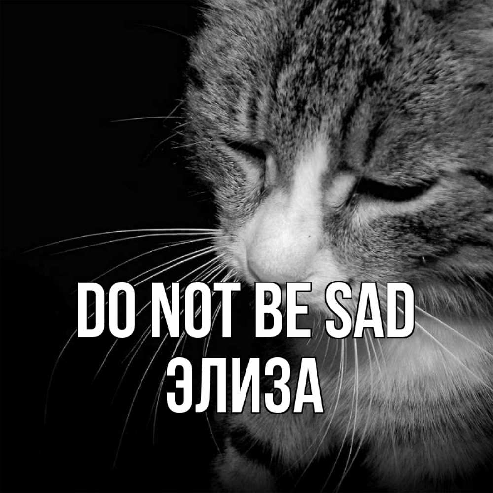 Greetings card с именем, Элиза Do not be sad грустный котик Greetings with text for free download 