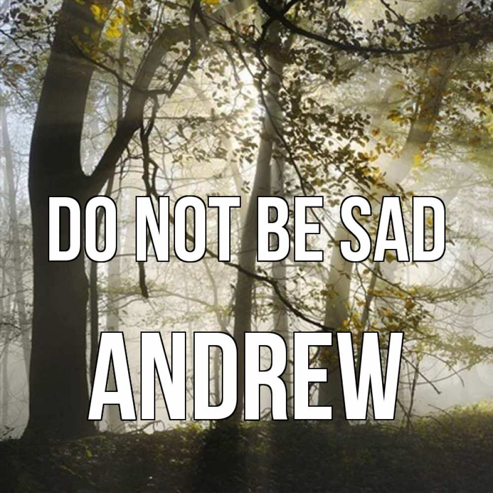 Greetings card с именем, Andrew Do not be sad лес и свет Greetings with text for free download 