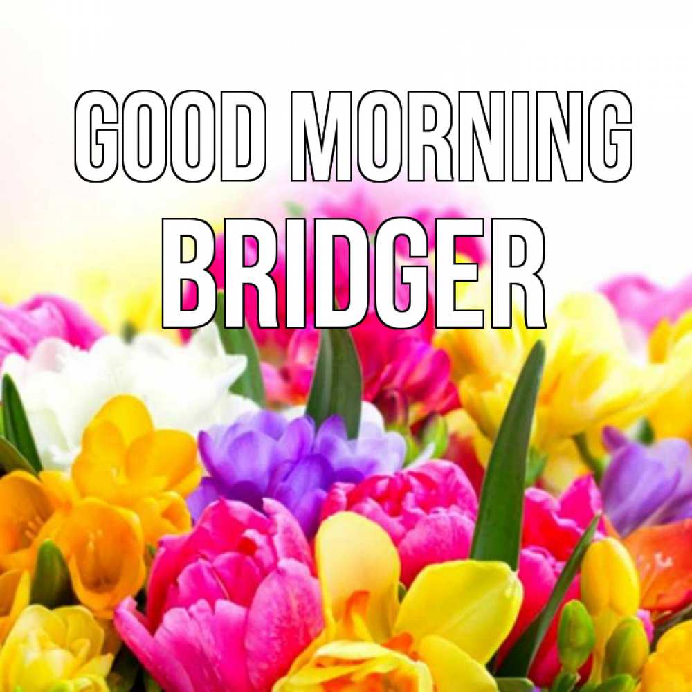 Greetings card с именем, Bridger Good morning создать открытку со свое подписью Greetings with text for free download 