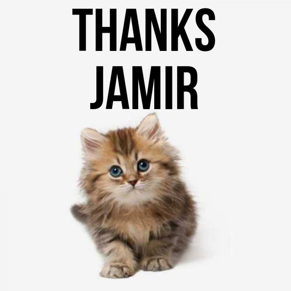 Greetings card с именем, Jamir Thanks пушистый котик Greetings with text for free download 