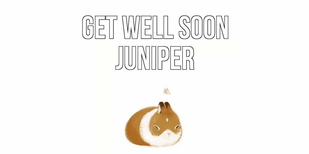 Greetings card с именем, Juniper Get well soon морская свинка на открытке с пожеланиями не болеть Greetings with text for free download 