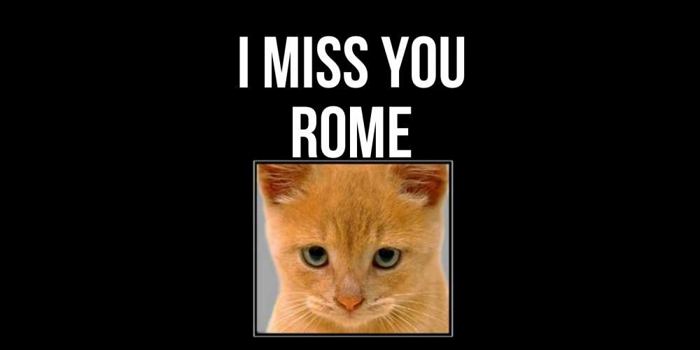 Greetings card с именем, Rome I miss you открытки рыжий котенок скучает по тебе Greetings with text for free download 