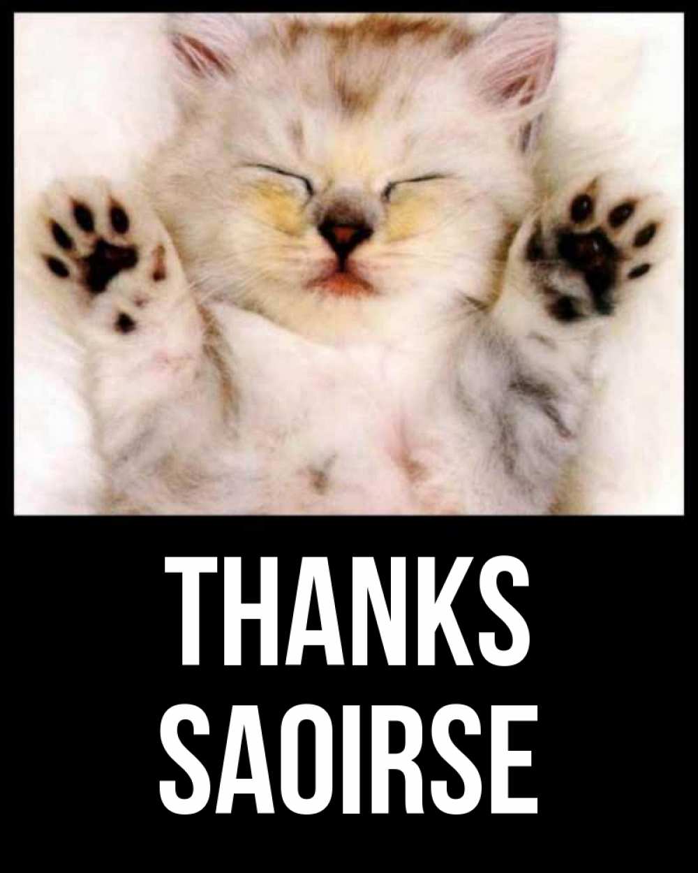 Greetings card с именем, Saoirse Thanks маленький котенок Greetings with text for free download 