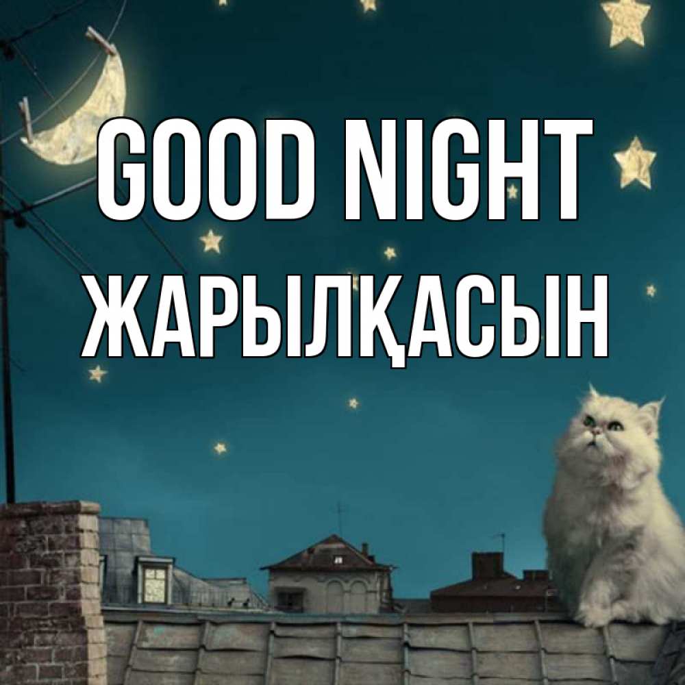 Greetings card с именем, Жарылқасын Good night белый кот сидит на крыше Greetings with text for free download 