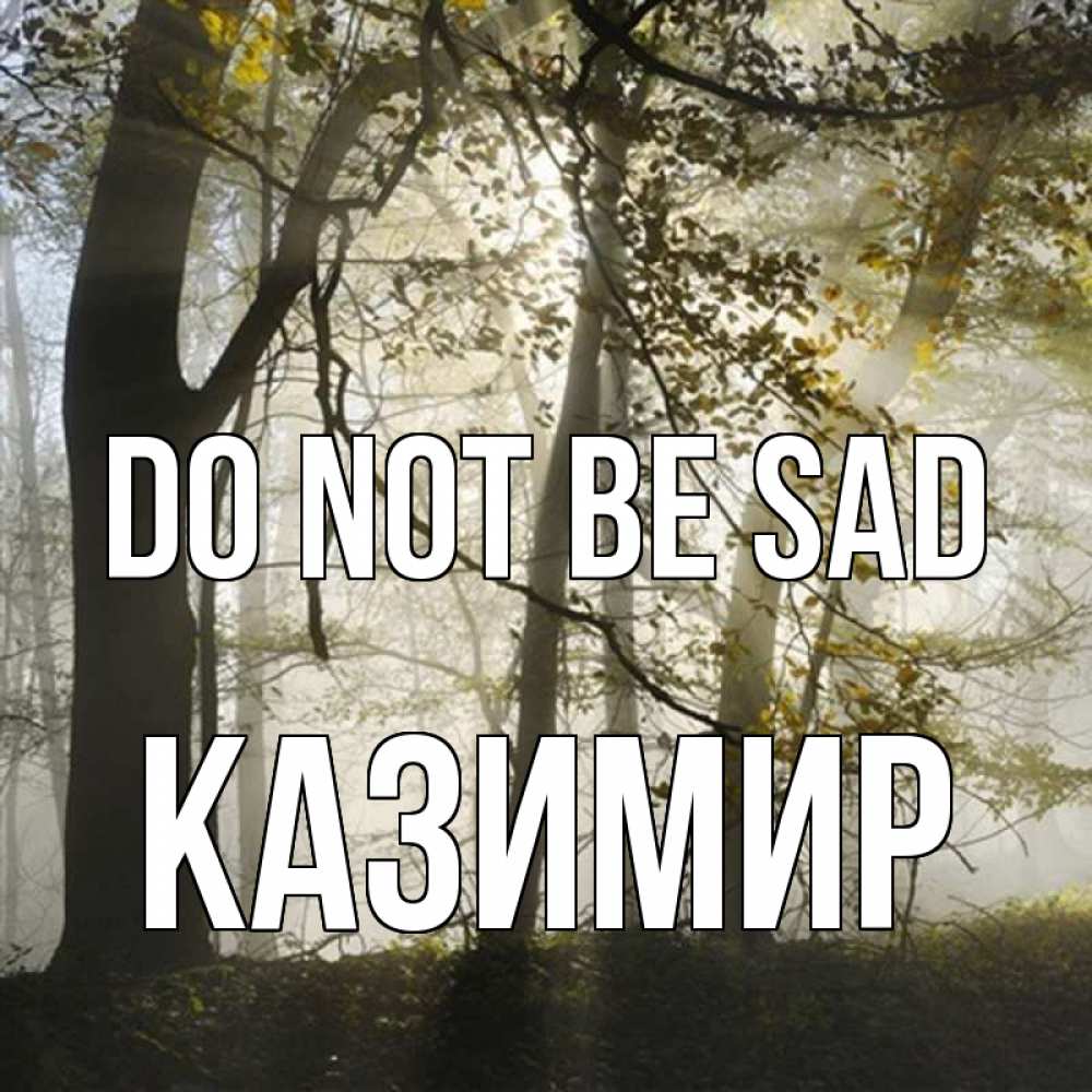 Greetings card с именем, Казимир Do not be sad лес и свет Greetings with text for free download 