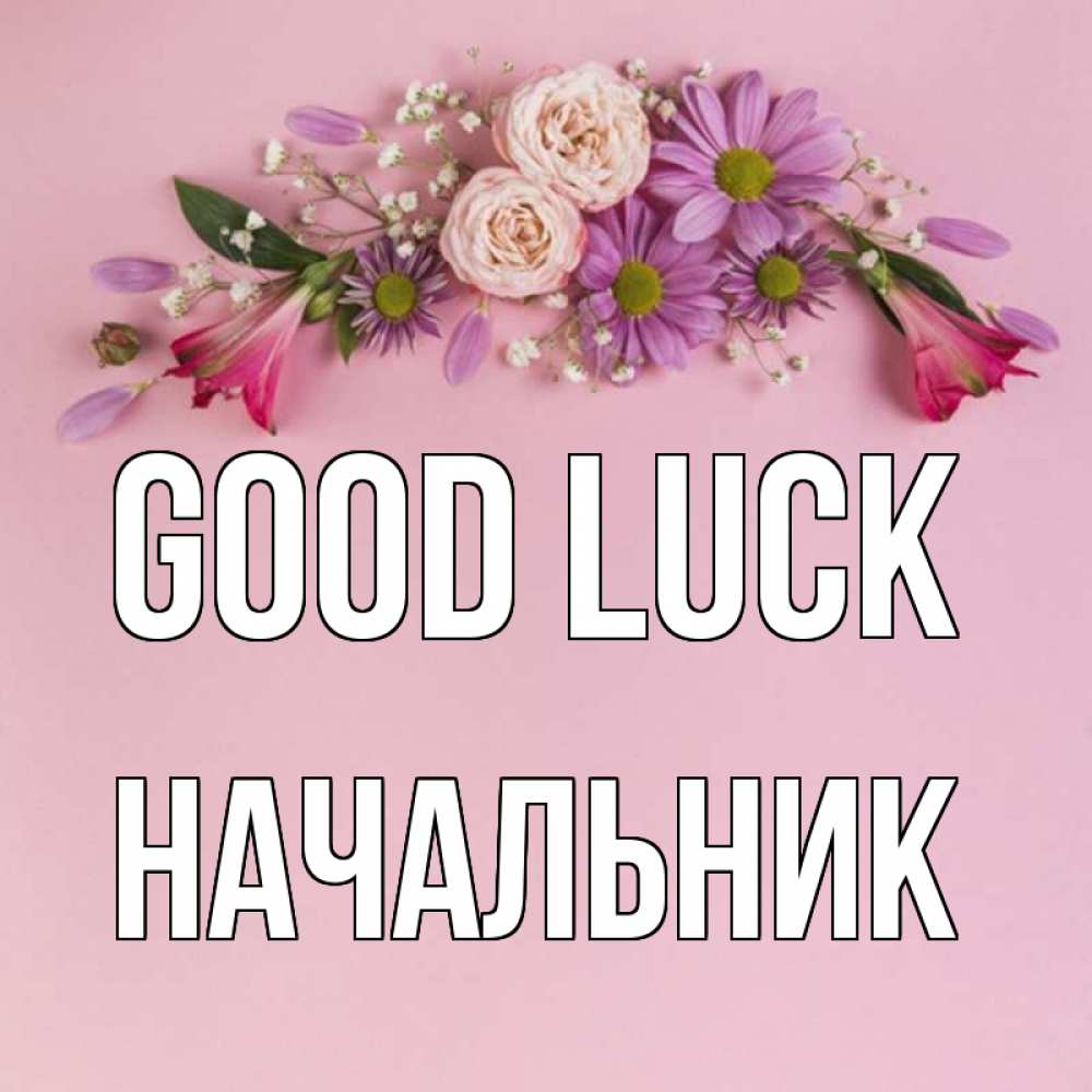 Greetings card с именем, Начальник Good luck розовый фон Greetings with text for free download 