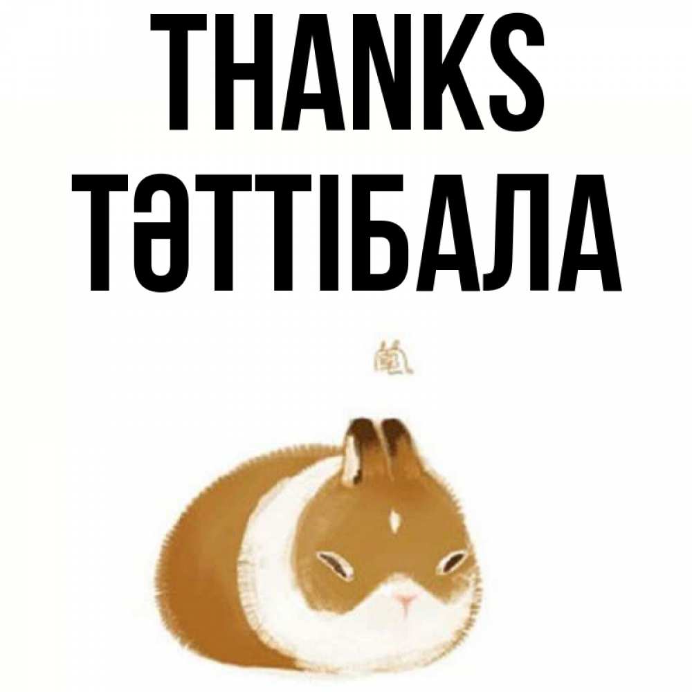 Greetings card с именем, ТӘТТІБАЛА Thanks коричнево белый домашний питомец Greetings with text for free download 