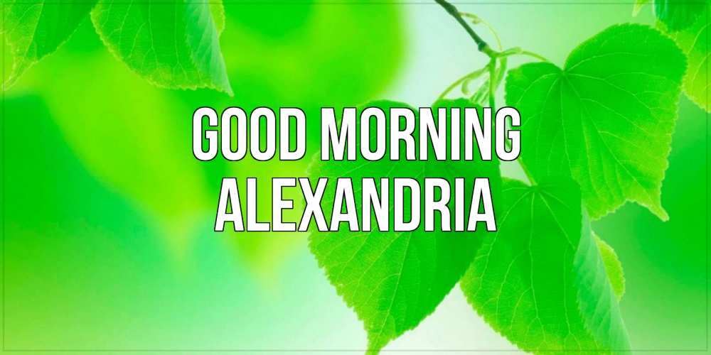 Greetings card с именем, Alexandria Good morning доброе утро с березовыми листьями Greetings with text for free download 