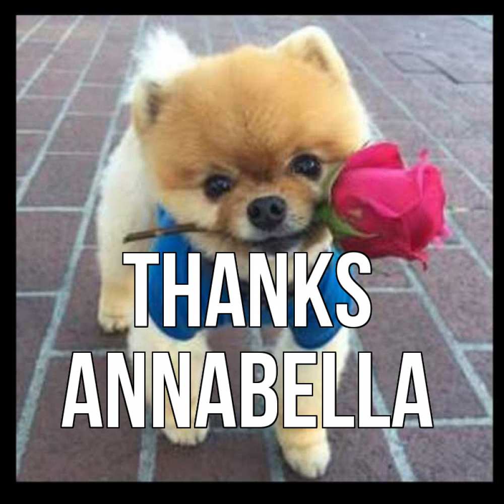 Greetings card с именем, Annabella Thanks спасибо и дарю тебе цветок Greetings with text for free download 