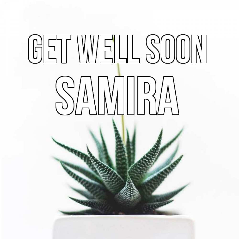 Greetings card с именем, Samira Get well soon короче это непонятная колючка Greetings with text for free download 