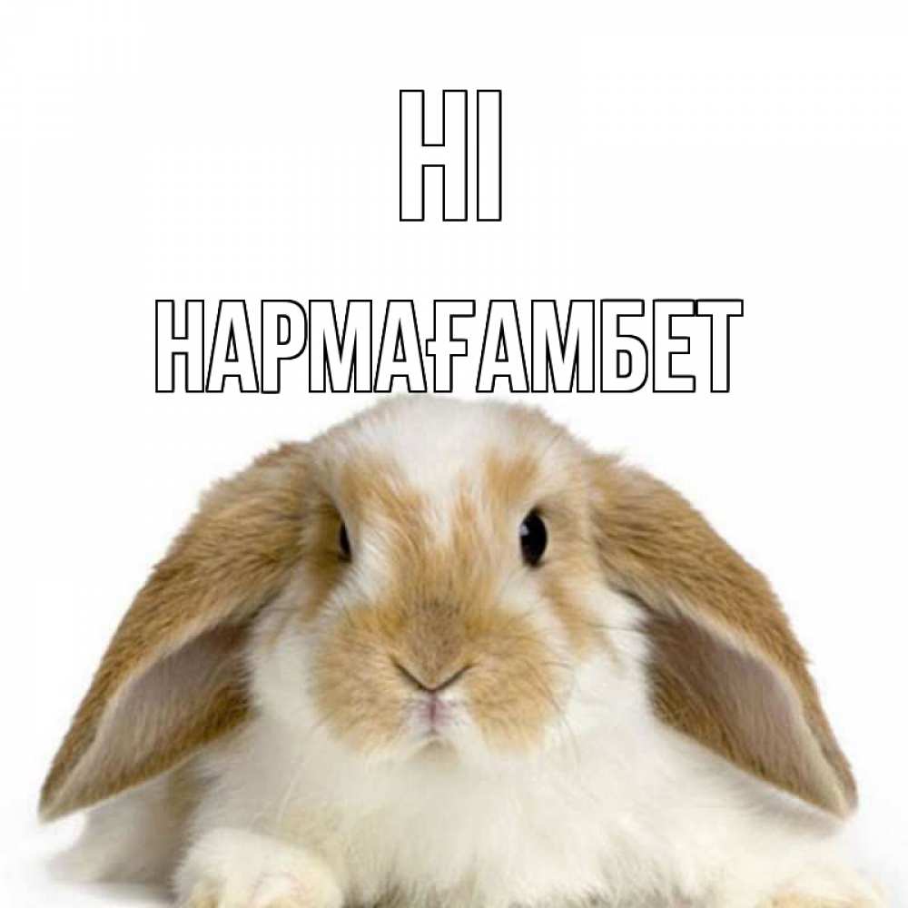 Greetings card с именем, НАРМАҒАМБЕТ Hi с животными Greetings with text for free download 