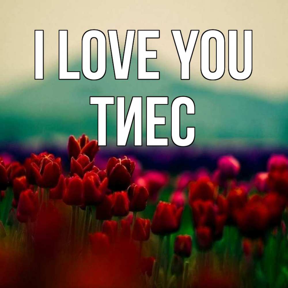 Greetings card с именем, ТИЕС I love you тюльпаны 4 Greetings with text for free download 