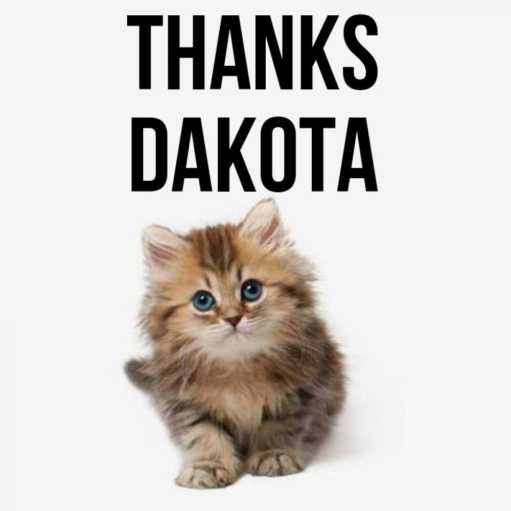 Greetings card с именем, Dakota Thanks пушистый котик Greetings with text for free download 