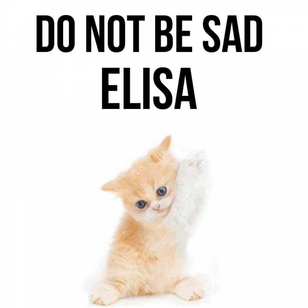 Greetings card с именем, Elisa Do not be sad просящий кот Greetings with text for free download 