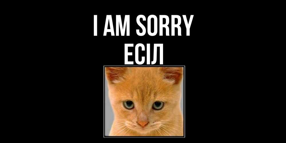 Greetings card с именем, Есіл I am sorry рыжий грустный кот просит прощения Greetings with text for free download 