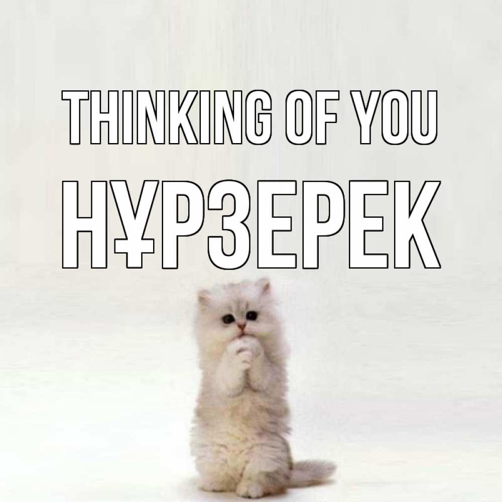 Greetings card с именем, НҰРЗЕРЕК Thinking of you кот стоит на задних лапах Greetings with text for free download 