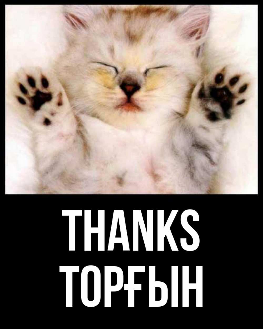 Greetings card с именем, ТОРҒЫН Thanks маленький котенок Greetings with text for free download 