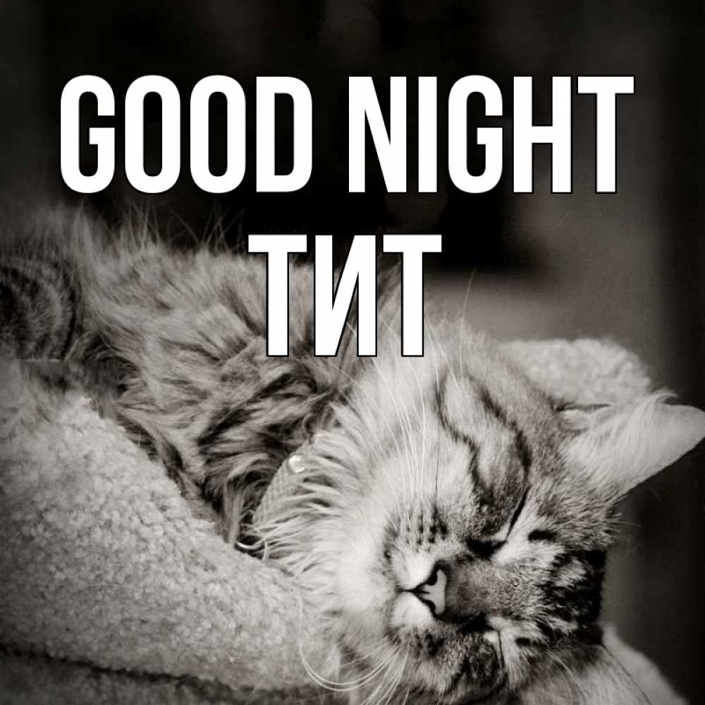 Greetings card с именем, Тит Good night котярик пушистый Greetings with text for free download 