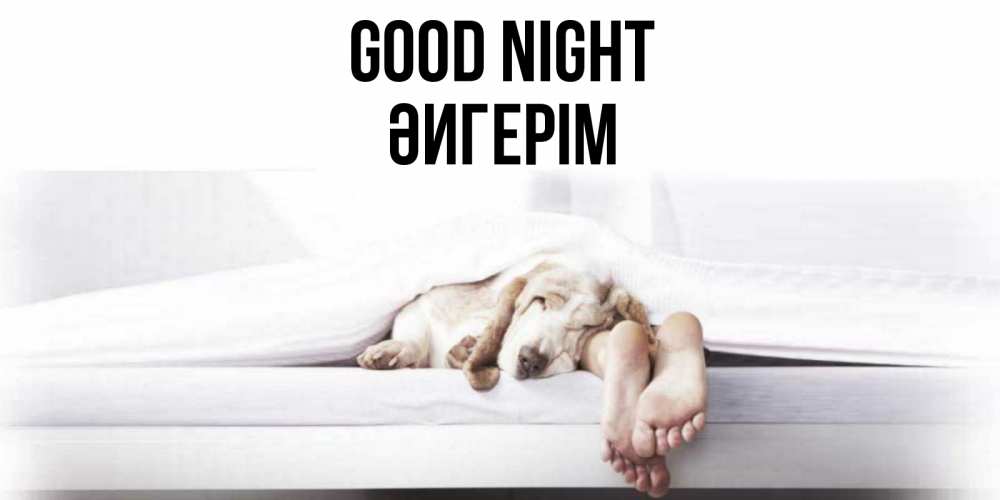 Greetings card с именем, ӘИГЕРІМ Good night кровать с собакой пожелание сладких снов и спокойной ночи Greetings with text for free download 