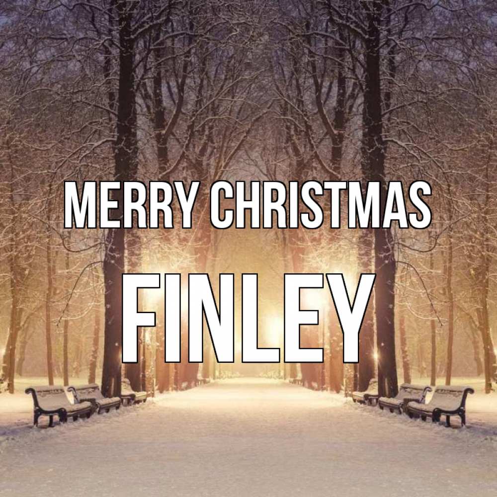 Greetings card с именем, Finley Merry Christmas зима, парк, фонарь, лес Greetings with text for free download 