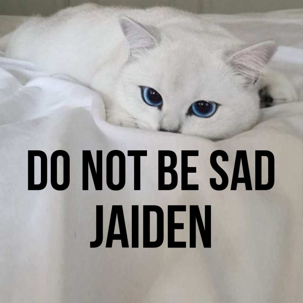 Greetings card с именем, Jaiden Do not be sad Голубоглазая кошка Greetings with text for free download 