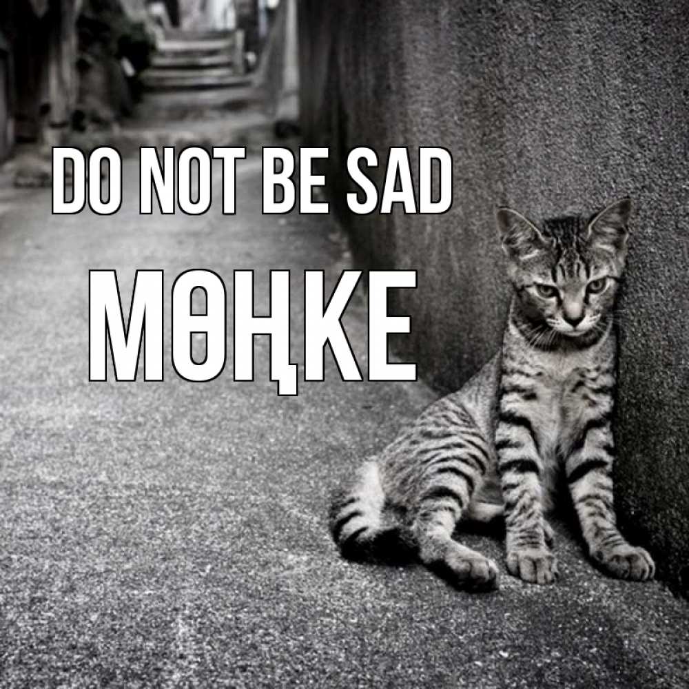 Greetings card с именем, МӨҢКЕ Do not be sad скучающий котик Greetings with text for free download 