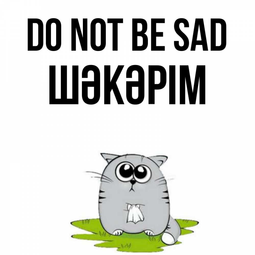 Greetings card с именем, ШӘКӘРІМ Do not be sad грустный котяра Greetings with text for free download 