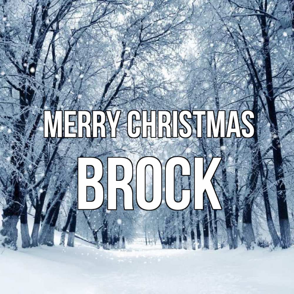 Greetings card с именем, Brock Merry Christmas снег, лес, парк Greetings with text for free download 