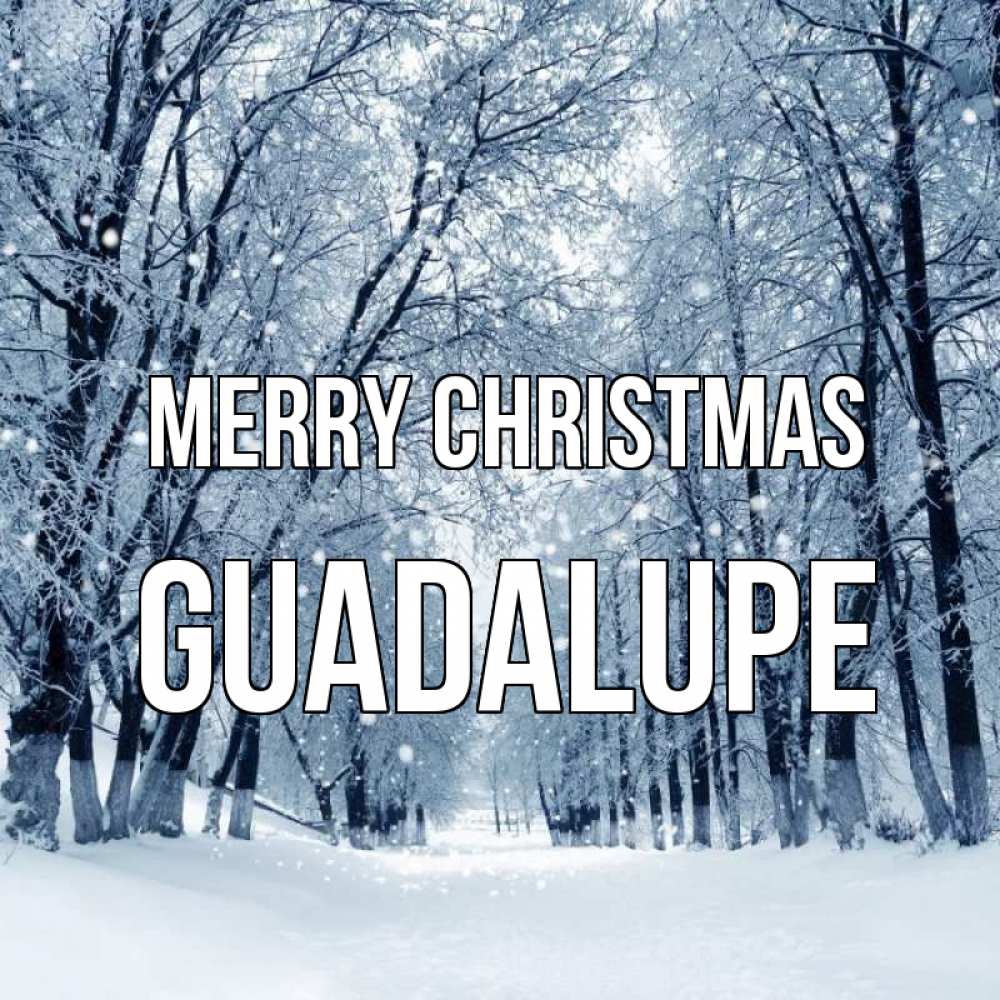 Greetings card с именем, Guadalupe Merry Christmas снег, лес, парк Greetings with text for free download 