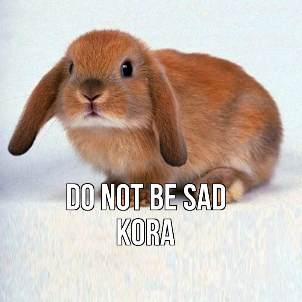 Greetings card с именем, Kora Do not be sad вислоухий рыжий кролик Greetings with text for free download 