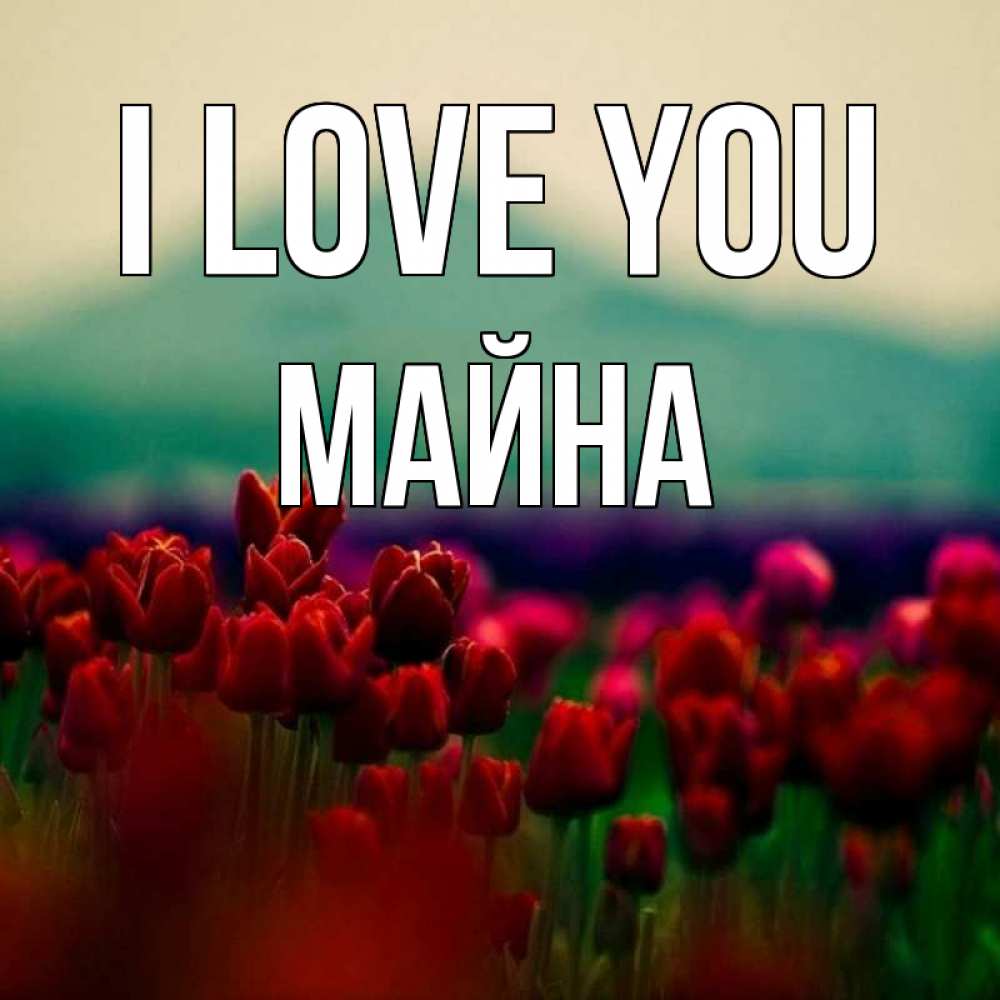 Greetings card с именем, МАЙНА I love you тюльпаны 4 Greetings with text for free download 