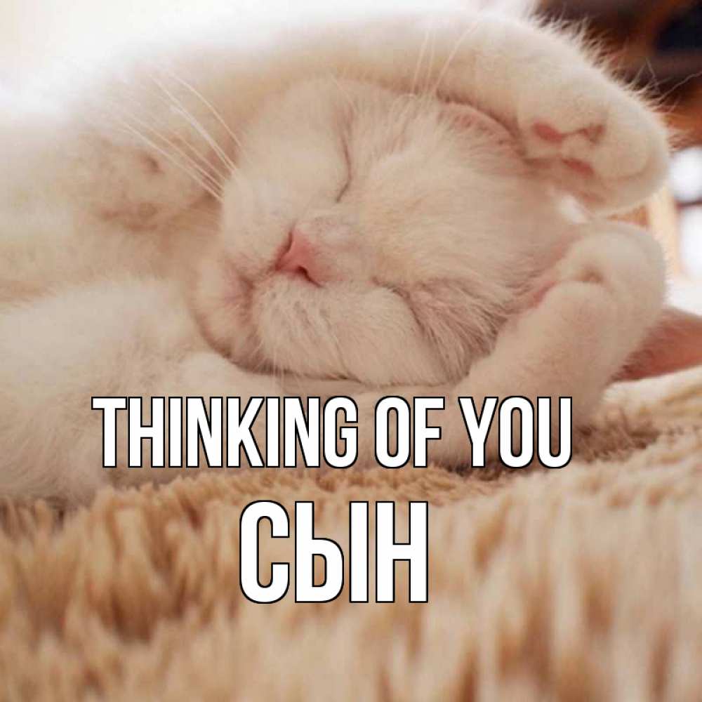 Greetings card с именем, Сын Thinking of you для любимой девушки милота Greetings with text for free download 