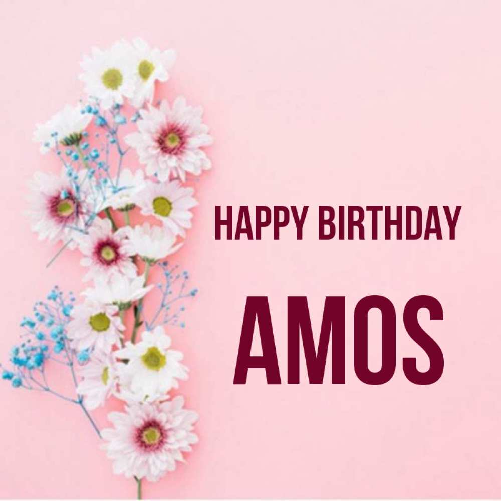 Greetings card с именем, Amos Happy Birthday Родная моя с днем рождения тебя картинка с цветами белыми и голубыми Greetings with text for free download 