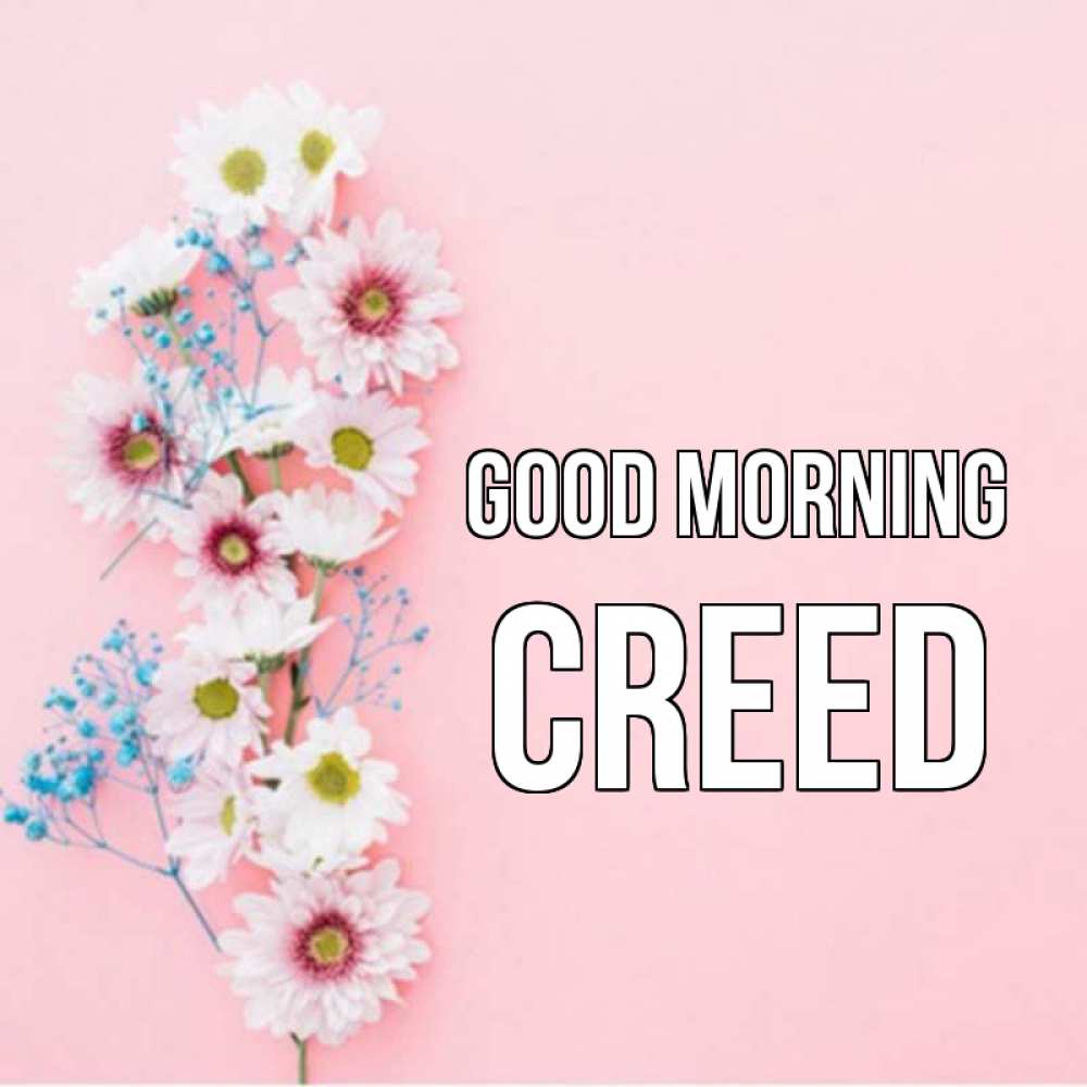 Greetings card с именем, Creed Good morning цветы с подписью Greetings with text for free download 