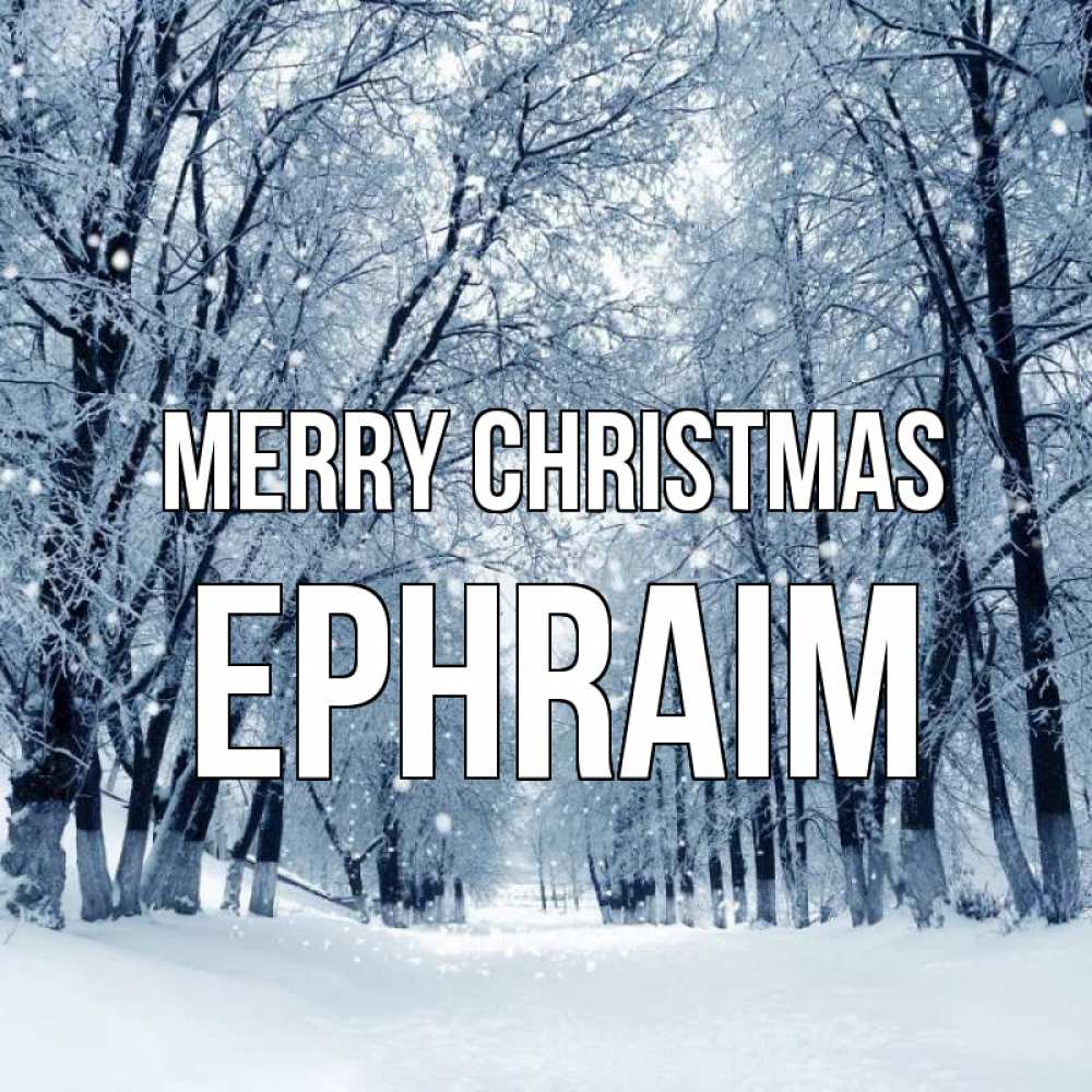 Greetings card с именем, Ephraim Merry Christmas снег, лес, парк Greetings with text for free download 