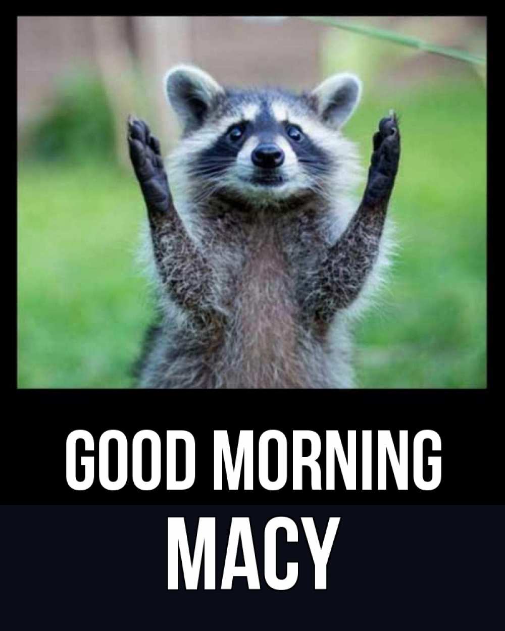 Greetings card с именем, Macy Good morning хорошее настроение утречком Greetings with text for free download 