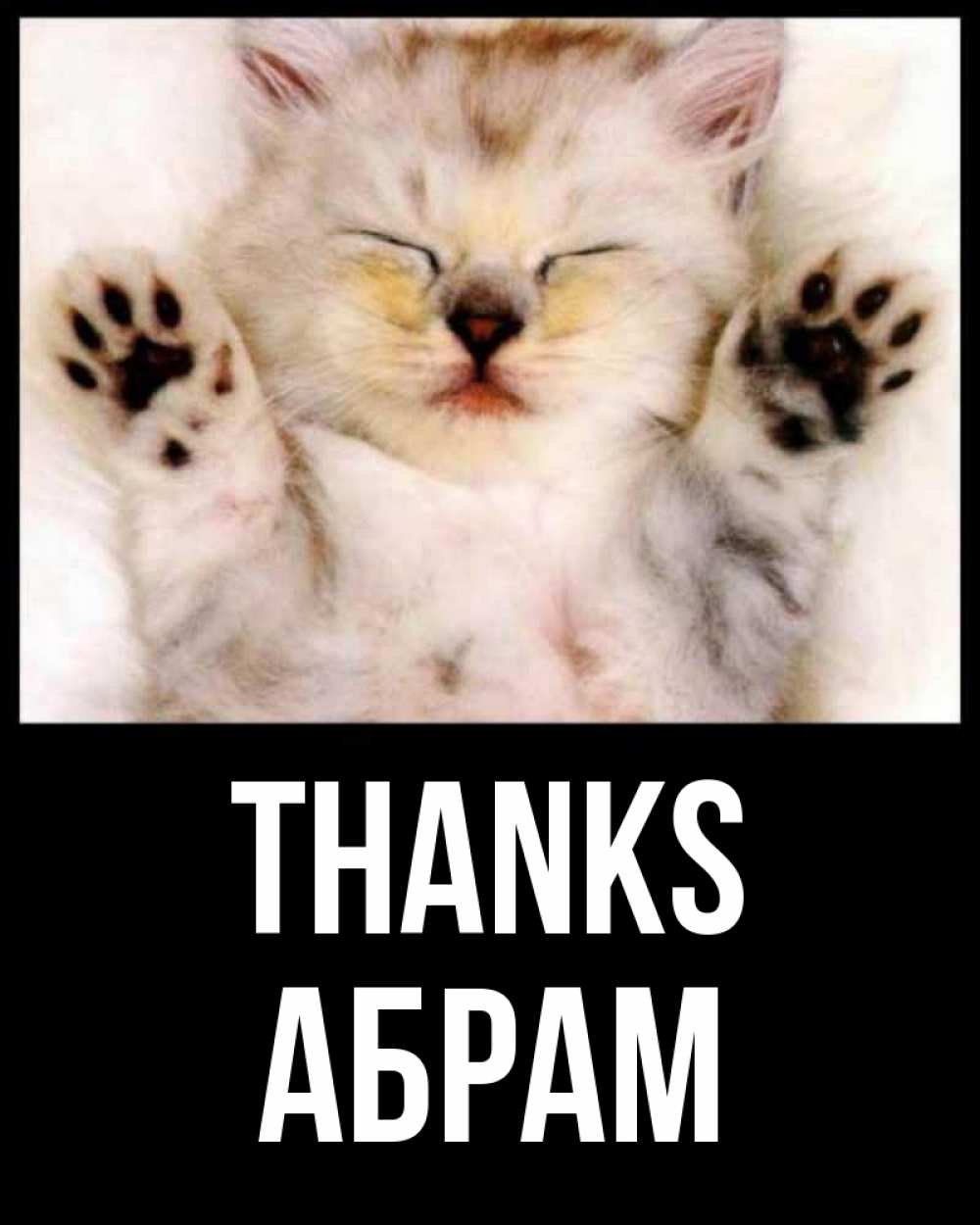 Greetings card с именем, Абрам Thanks маленький котенок Greetings with text for free download 