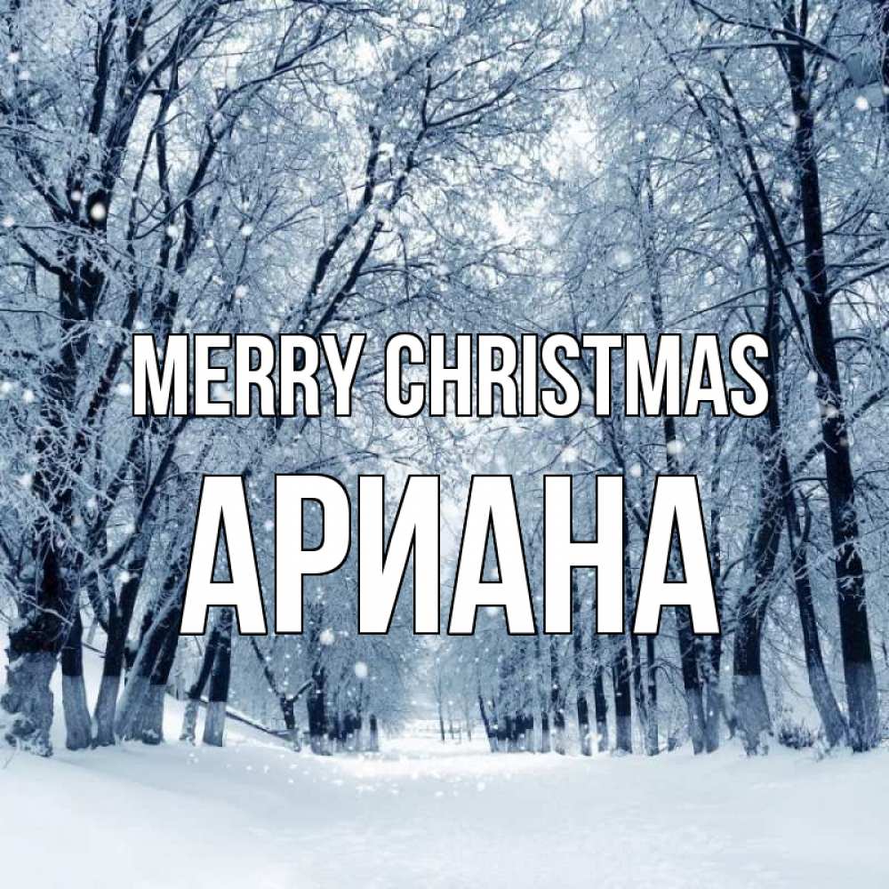 Greetings card с именем, Ариана Merry Christmas снег, лес, парк Greetings with text for free download 