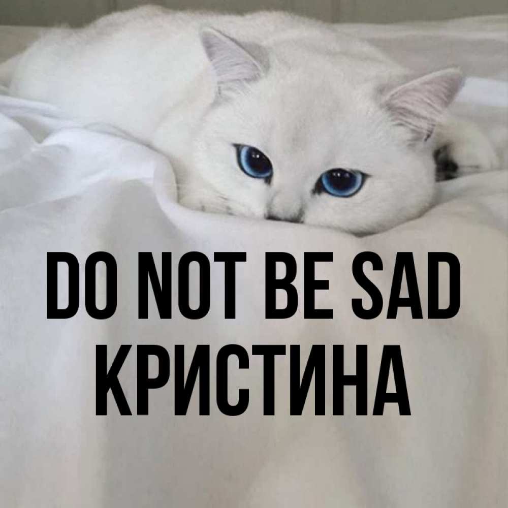 Greetings card с именем, Кристина Do not be sad Голубоглазая кошка Greetings with text for free download 