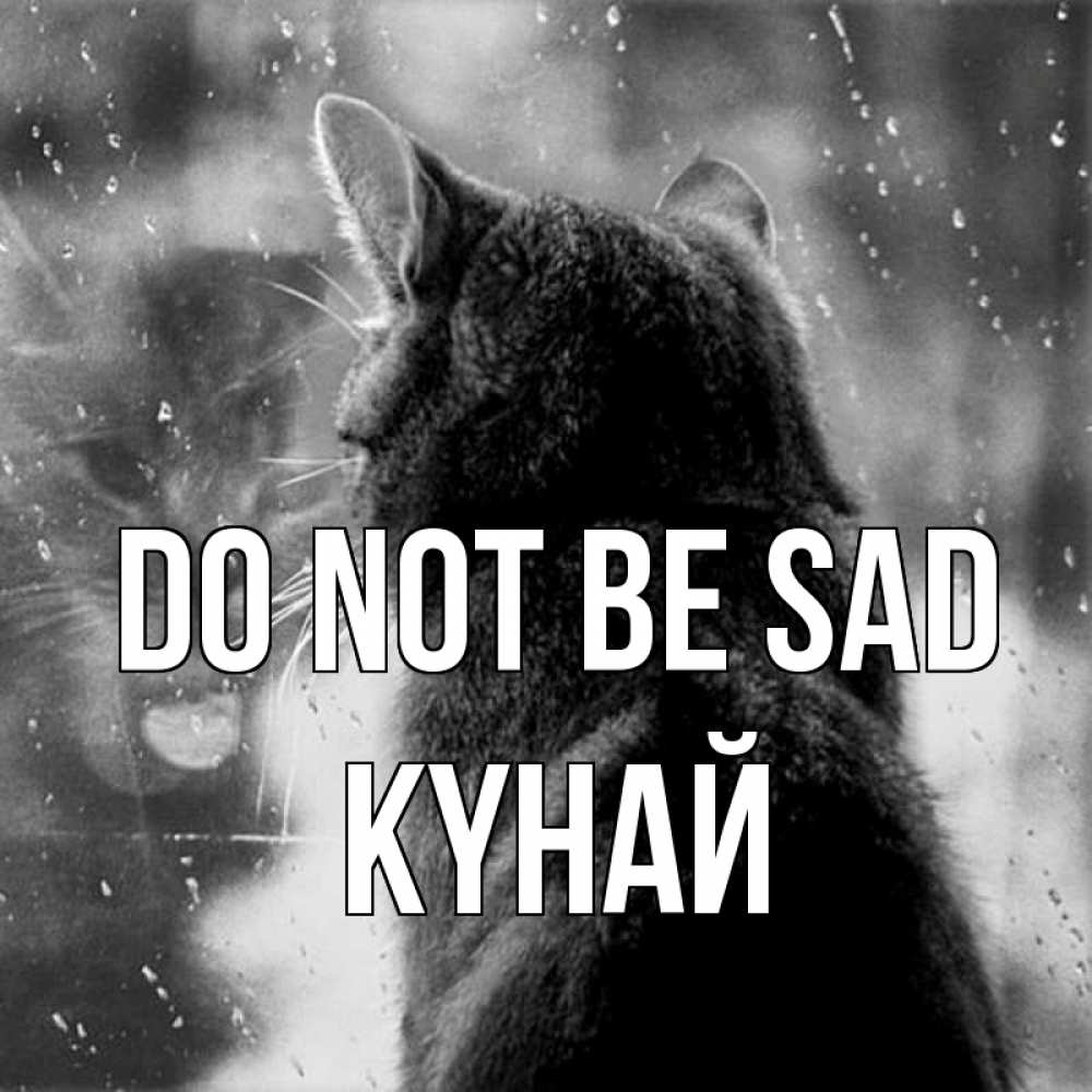 Greetings card с именем, КҮНАЙ Do not be sad отражение кота 1 Greetings with text for free download 