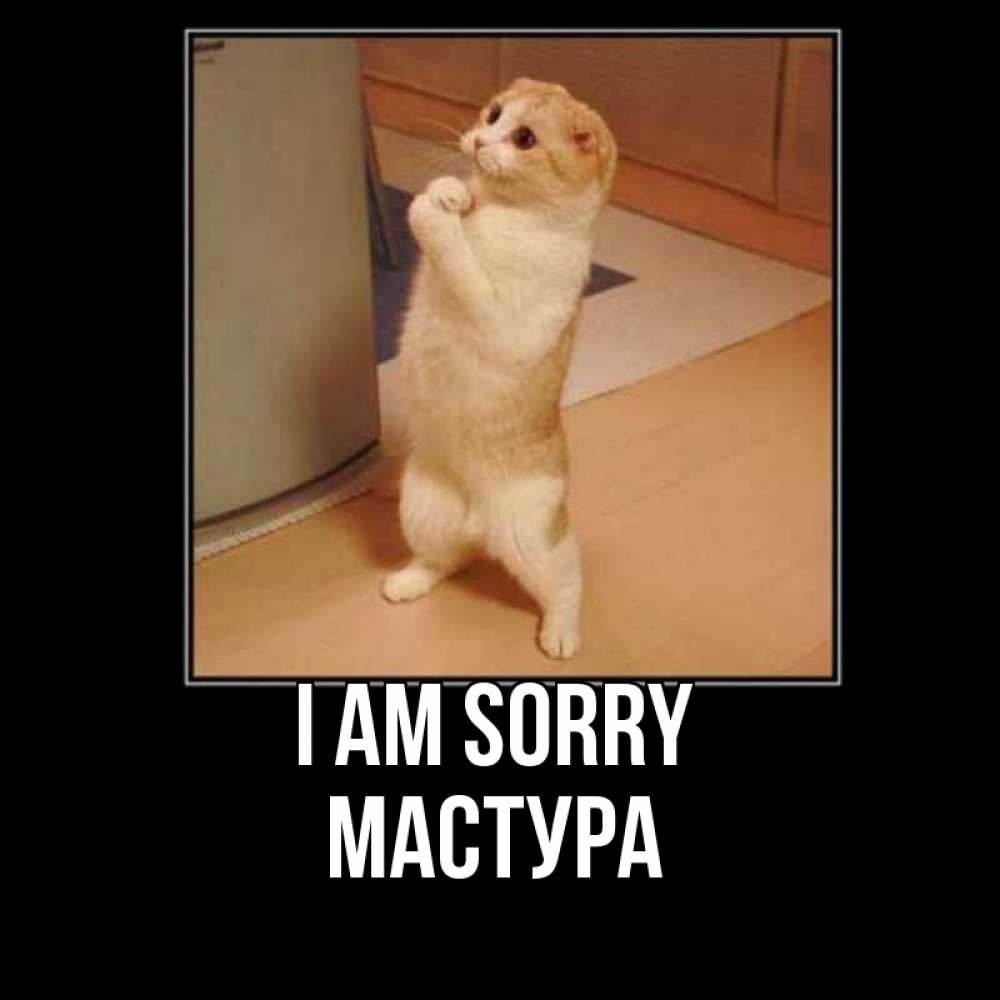 Greetings card с именем, МАСТУРА I am sorry открытка с милым несчастным котиком просящим прощения Greetings with text for free download 
