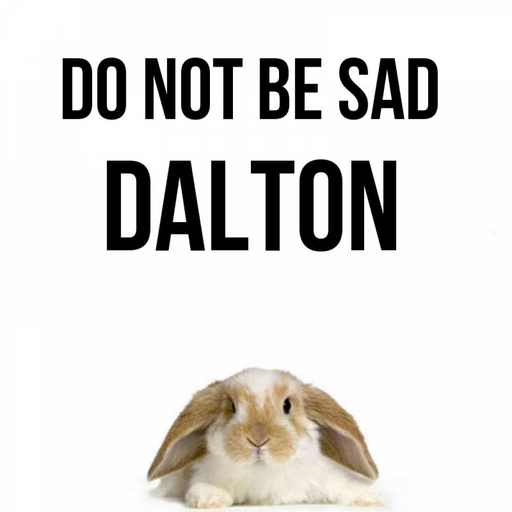 Greetings card с именем, Dalton Do not be sad коричнево белый заяц с большими ушками Greetings with text for free download 
