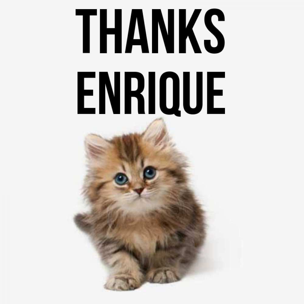 Greetings card с именем, Enrique Thanks пушистый котик Greetings with text for free download 