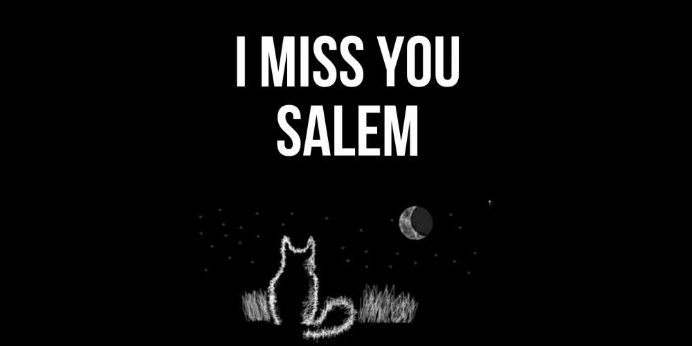 Greetings card с именем, Salem I miss you кот Greetings with text for free download 
