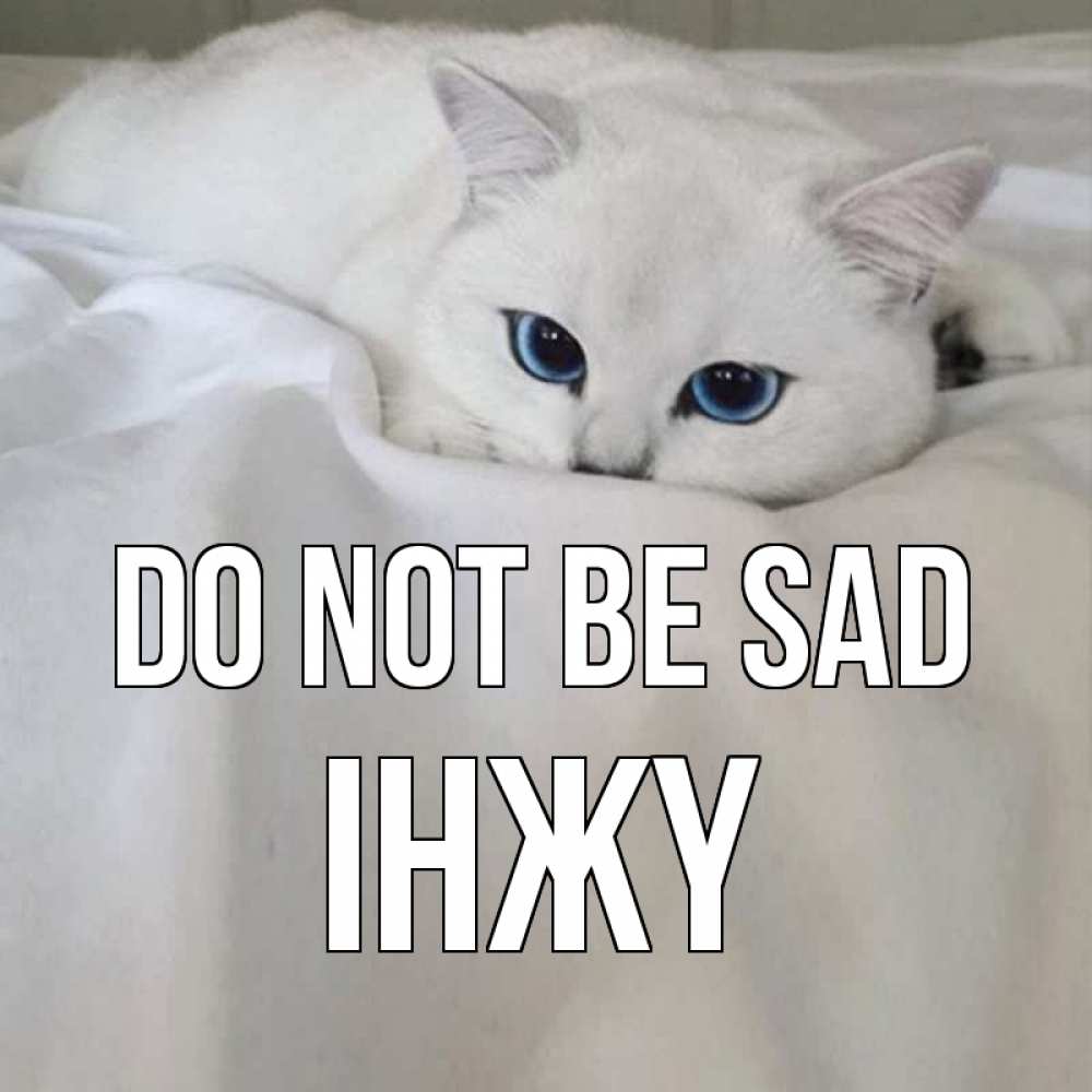 Greetings card с именем, ІНЖҮ Do not be sad белый кот с голубыми глазами на белоснежной кровати Greetings with text for free download 