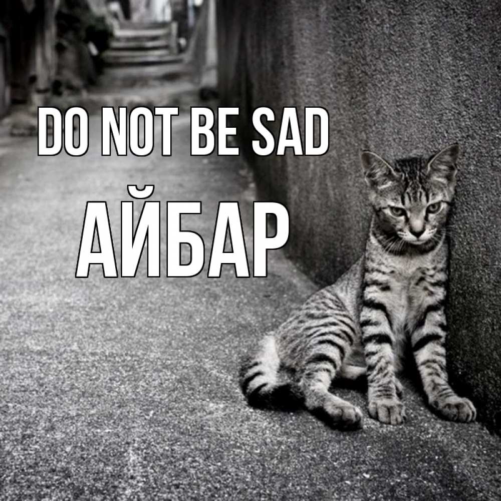 Greetings card с именем, Айбар Do not be sad скучающий котик Greetings with text for free download 