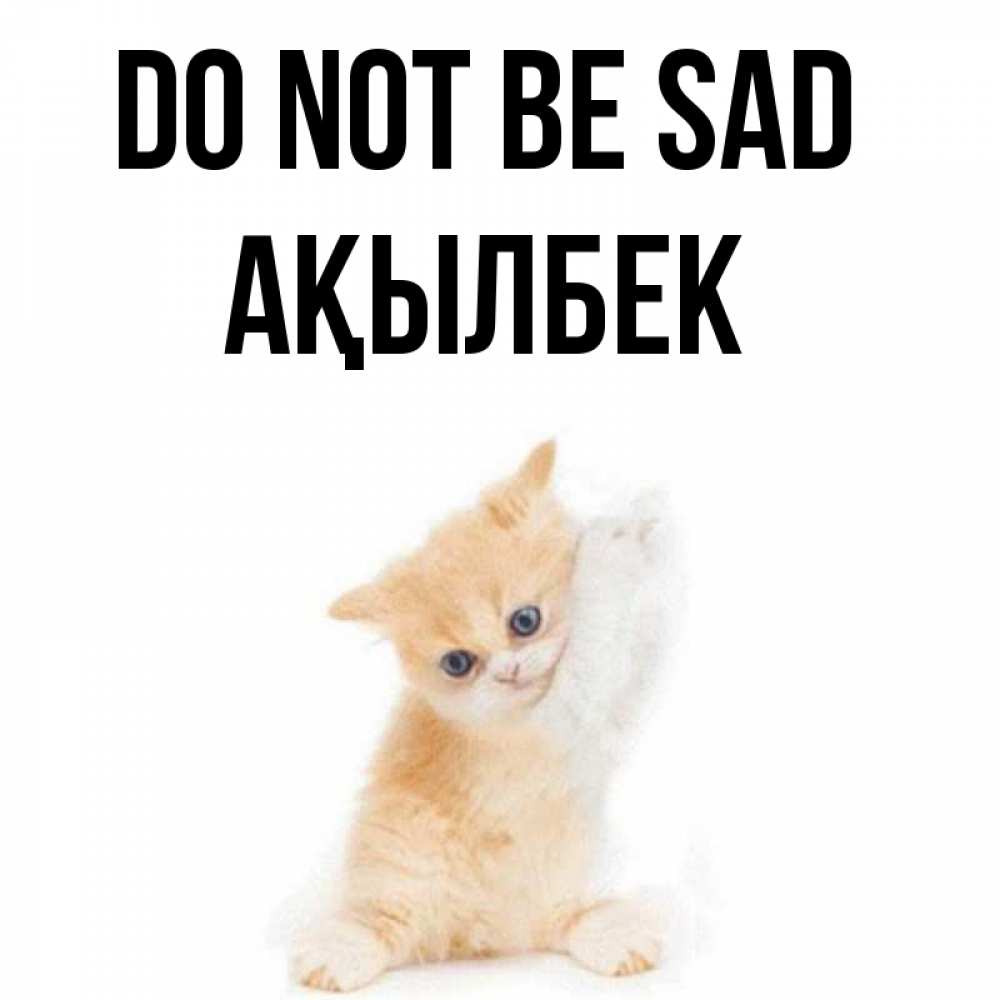 Greetings card с именем, Ақылбек Do not be sad просящий кот Greetings with text for free download 