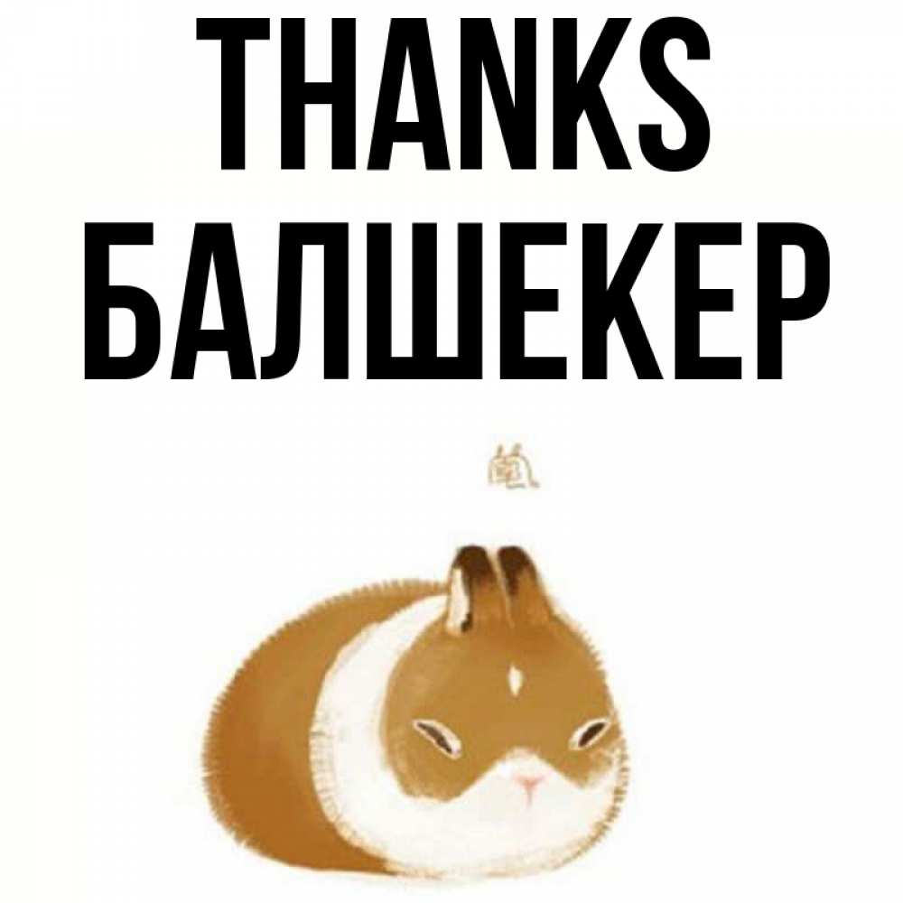 Greetings card с именем, БАЛШЕКЕР Thanks коричнево белый домашний питомец Greetings with text for free download 