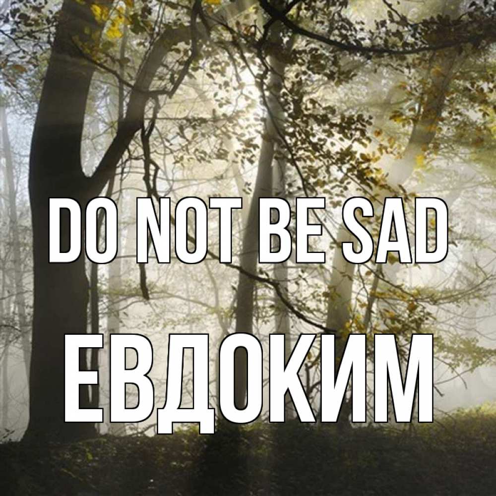 Greetings card с именем, Евдоким Do not be sad лес и свет Greetings with text for free download 